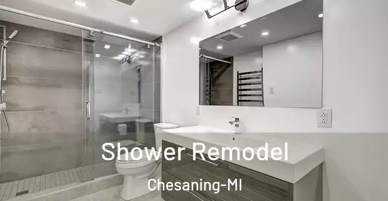 inner Bathroom imggen Shower Remodel Chesaning-MI