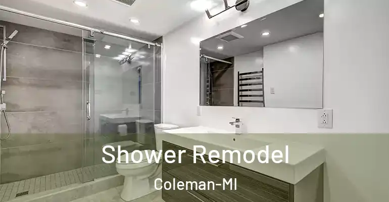 inner Bathroom imggen Shower Remodel Coleman-MI