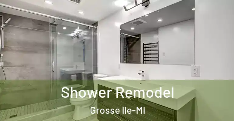 inner Bathroom imggen Shower Remodel Grosse Ile-MI