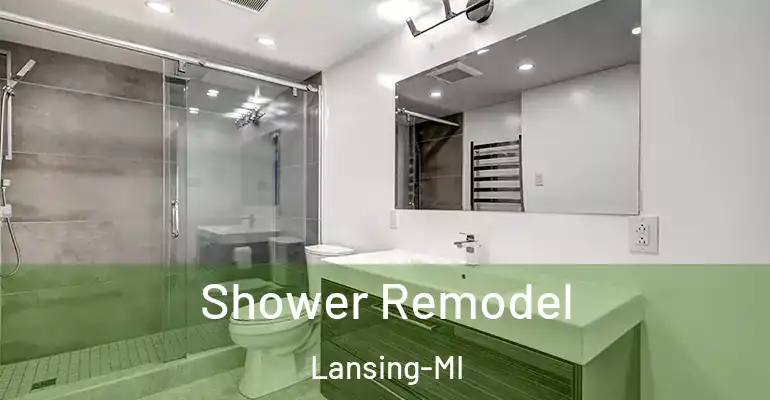 inner Bathroom imggen Shower Remodel Lansing-MI