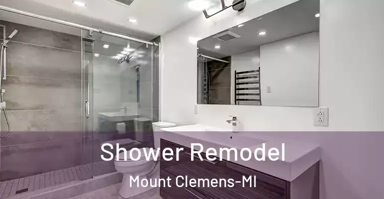 inner Bathroom imggen Shower Remodel Mount Clemens-MI