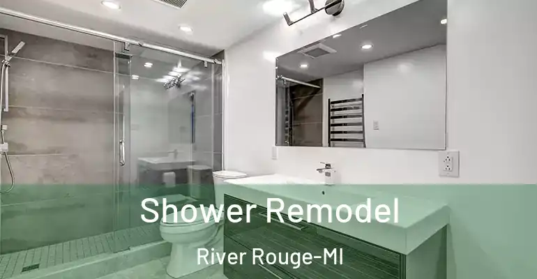 inner Bathroom imggen Shower Remodel River Rouge-MI