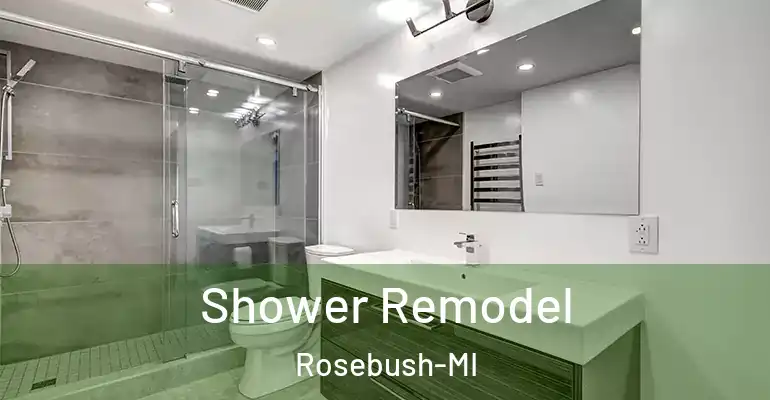 inner Bathroom imggen Shower Remodel Rosebush-MI