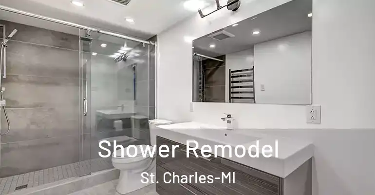 inner Bathroom imggen Shower Remodel St. Charles-MI