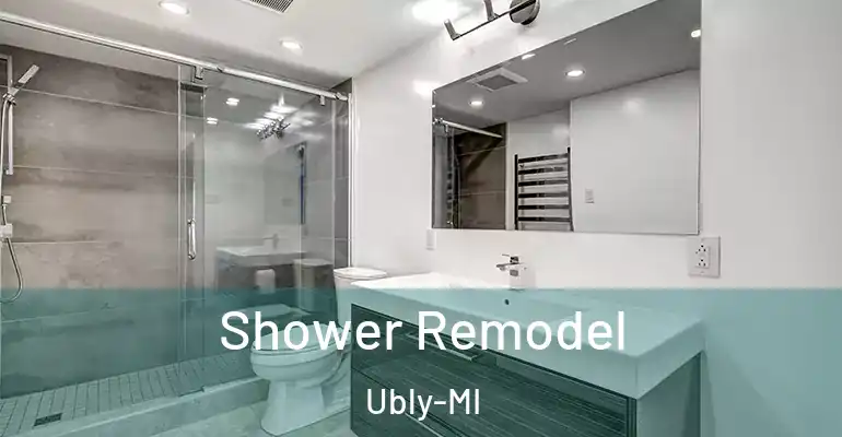 inner Bathroom imggen Shower Remodel Ubly-MI