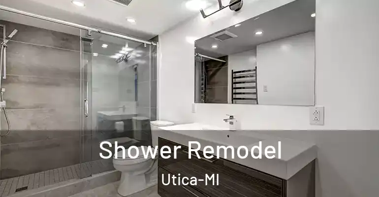 inner Bathroom imggen Shower Remodel Utica-MI