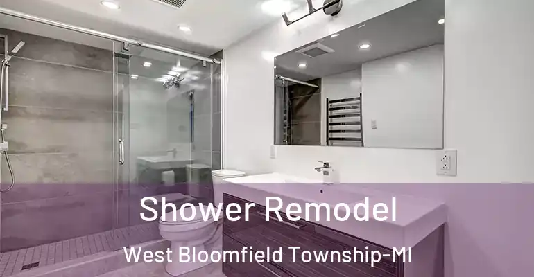 inner Bathroom imggen Shower Remodel West Bloomfield Township-MI