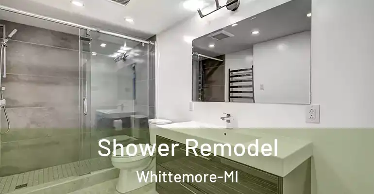 inner Bathroom imggen Shower Remodel Whittemore-MI