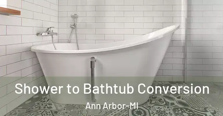 inner Bathroom imggen Shower to Bathtub Conversion Ann Arbor-MI