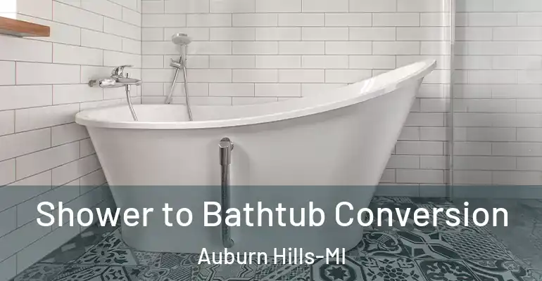 inner Bathroom imggen Shower to Bathtub Conversion Auburn Hills-MI