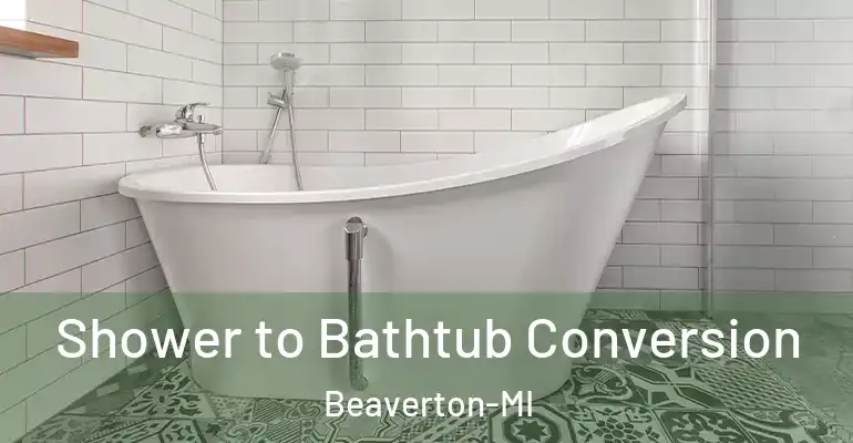 inner Bathroom imggen Shower to Bathtub Conversion Beaverton-MI