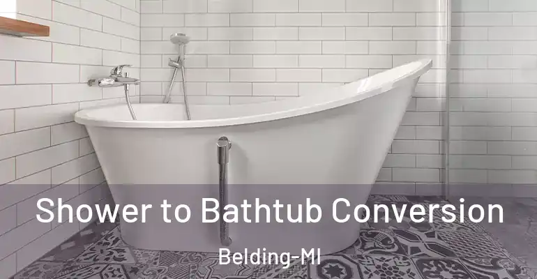 inner Bathroom imggen Shower to Bathtub Conversion Belding-MI
