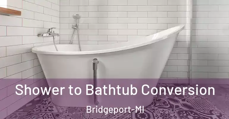 inner Bathroom imggen Shower to Bathtub Conversion Bridgeport-MI