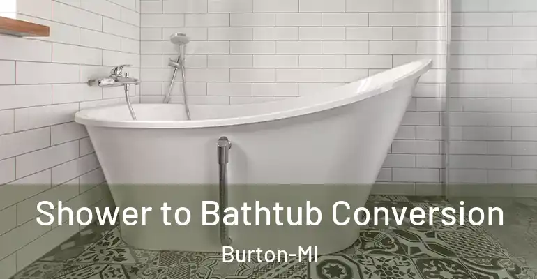 inner Bathroom imggen Shower to Bathtub Conversion Burton-MI