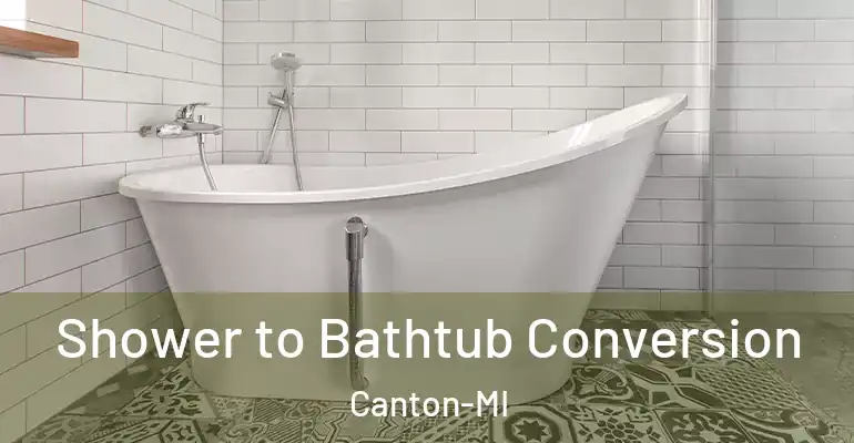 inner Bathroom imggen Shower to Bathtub Conversion Canton-MI