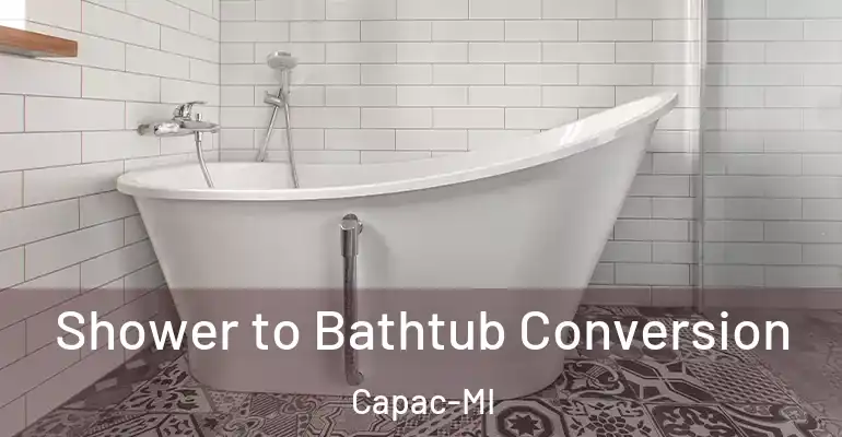 inner Bathroom imggen Shower to Bathtub Conversion Capac-MI