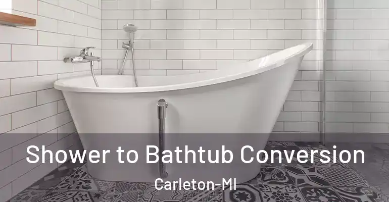 inner Bathroom imggen Shower to Bathtub Conversion Carleton-MI