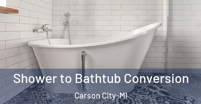 inner Bathroom imggen Shower to Bathtub Conversion Carson City-MI