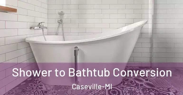 inner Bathroom imggen Shower to Bathtub Conversion Caseville-MI
