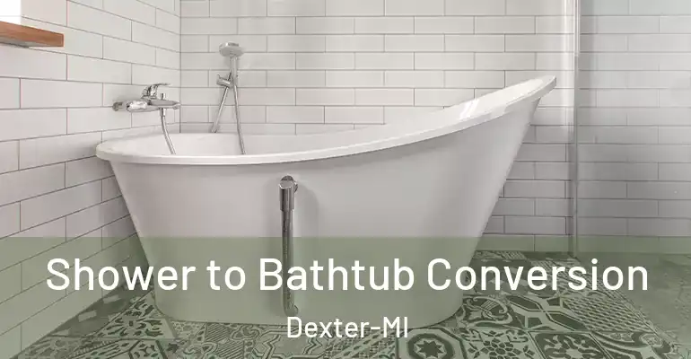 inner Bathroom imggen Shower to Bathtub Conversion Dexter-MI