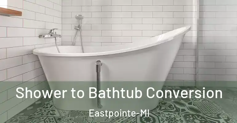 inner Bathroom imggen Shower to Bathtub Conversion Eastpointe-MI