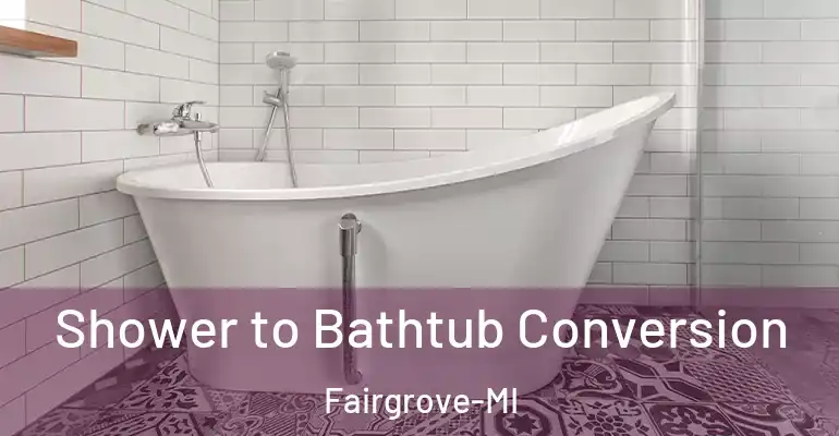 inner Bathroom imggen Shower to Bathtub Conversion Fairgrove-MI