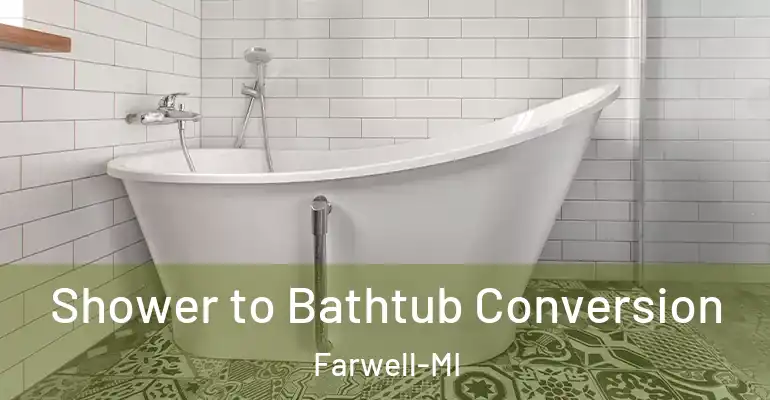 inner Bathroom imggen Shower to Bathtub Conversion Farwell-MI