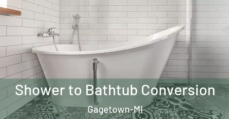 inner Bathroom imggen Shower to Bathtub Conversion Gagetown-MI