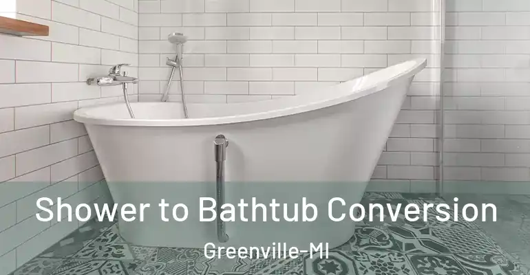 inner Bathroom imggen Shower to Bathtub Conversion Greenville-MI