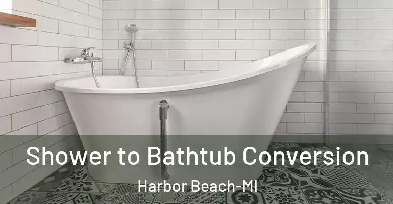 inner Bathroom imggen Shower to Bathtub Conversion Harbor Beach-MI
