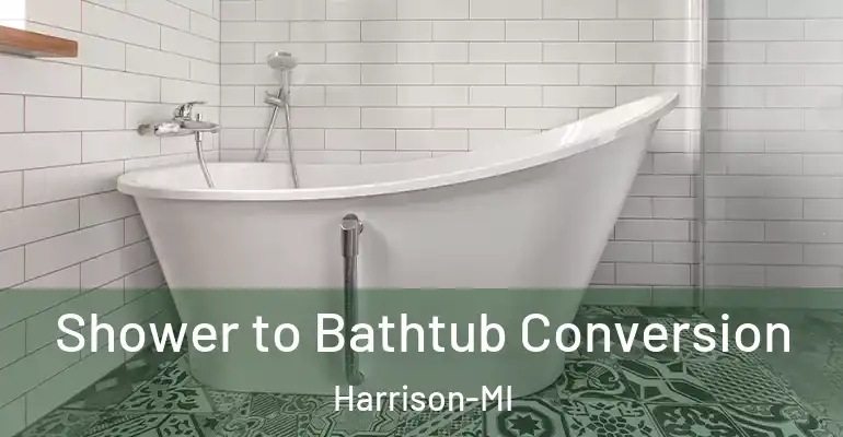 inner Bathroom imggen Shower to Bathtub Conversion Harrison-MI