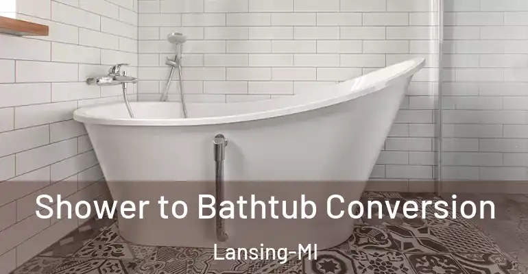 inner Bathroom imggen Shower to Bathtub Conversion Lansing-MI