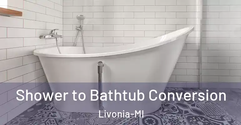 inner Bathroom imggen Shower to Bathtub Conversion Livonia-MI