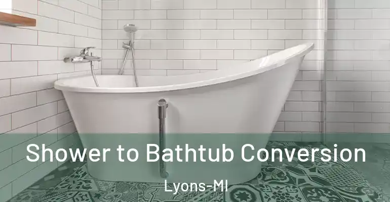 inner Bathroom imggen Shower to Bathtub Conversion Lyons-MI