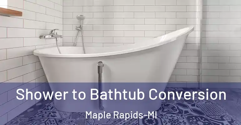 inner Bathroom imggen Shower to Bathtub Conversion Maple Rapids-MI