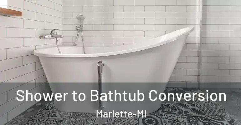 inner Bathroom imggen Shower to Bathtub Conversion Marlette-MI