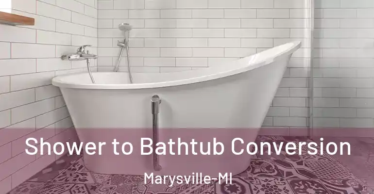inner Bathroom imggen Shower to Bathtub Conversion Marysville-MI