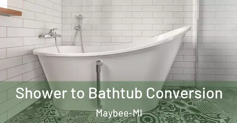 inner Bathroom imggen Shower to Bathtub Conversion Maybee-MI