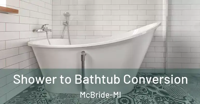 inner Bathroom imggen Shower to Bathtub Conversion McBride-MI