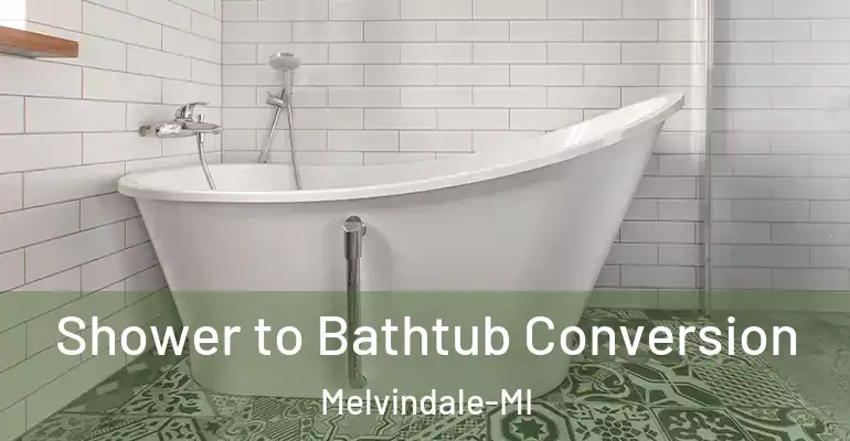 inner Bathroom imggen Shower to Bathtub Conversion Melvindale-MI