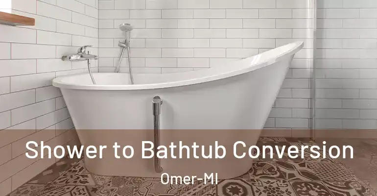 inner Bathroom imggen Shower to Bathtub Conversion Omer-MI