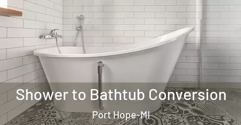 inner Bathroom imggen Shower to Bathtub Conversion Port Hope-MI