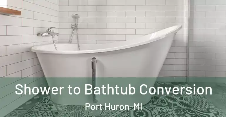 inner Bathroom imggen Shower to Bathtub Conversion Port Huron-MI