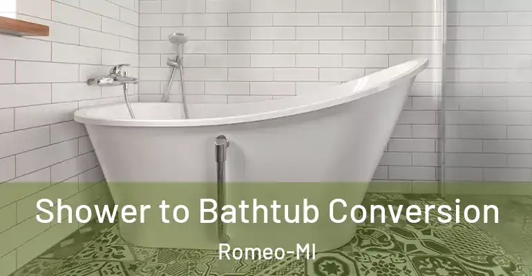 inner Bathroom imggen Shower to Bathtub Conversion Romeo-MI