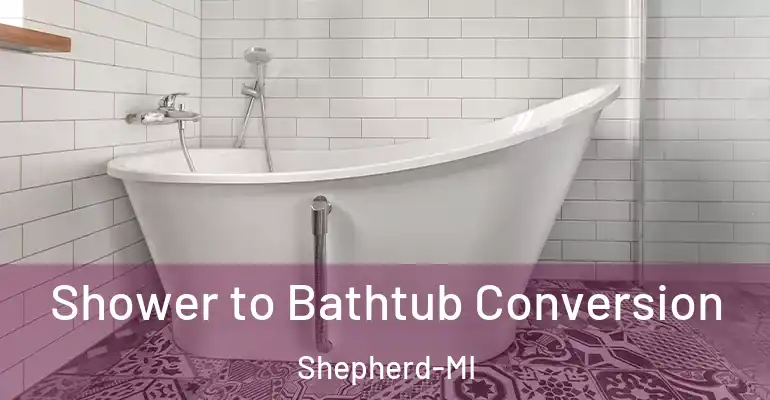inner Bathroom imggen Shower to Bathtub Conversion Shepherd-MI