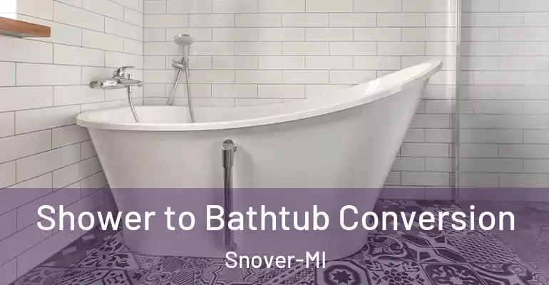 inner Bathroom imggen Shower to Bathtub Conversion Snover-MI