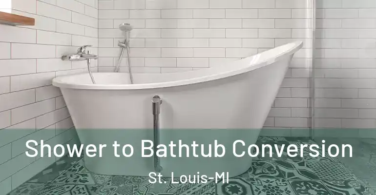 inner Bathroom imggen Shower to Bathtub Conversion St. Louis-MI