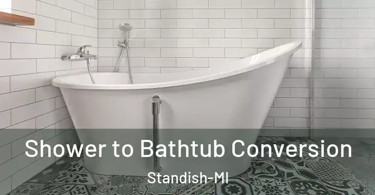 inner Bathroom imggen Shower to Bathtub Conversion Standish-MI