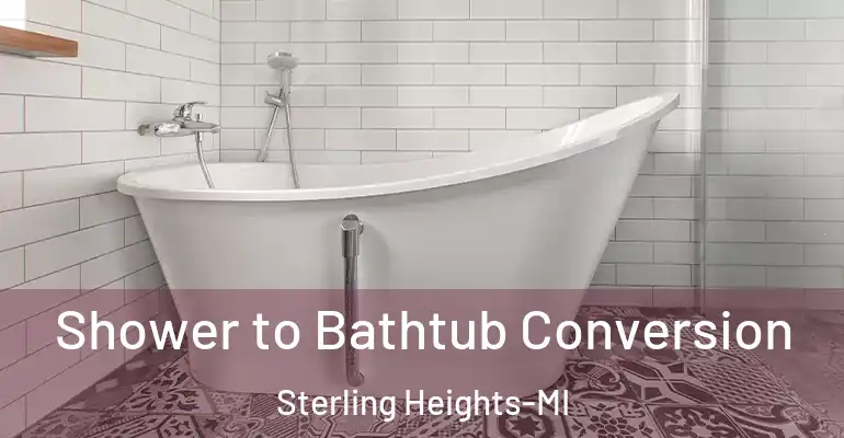 inner Bathroom imggen Shower to Bathtub Conversion Sterling Heights-MI