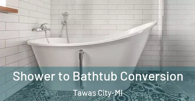 inner Bathroom imggen Shower to Bathtub Conversion Tawas City-MI
